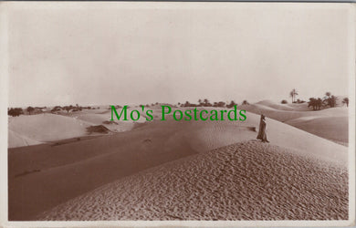 Algeria Postcard - Desert Scene, Les Dunes Dans Le Sud SW10411