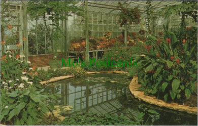 Surrey Postcard - R.H.S.Garden, Wisley - The Display House SW10423