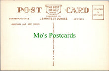 Load image into Gallery viewer, Animals Postcard - Highland Cattle By The Loch Side  SW10431
