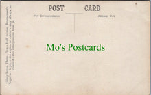 Load image into Gallery viewer, Social History Postcard - Elegantly Dressed Lady, Bournemouth Photo SW10440
