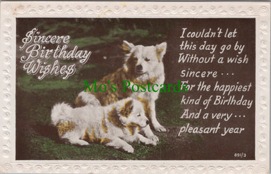 Birthday Greetings Postcard - Sincere Birthday Wishes, Two Dogs SW10441