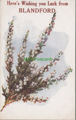 Dorset Postcard - Here's Wishing You Luck From Blandford SW10459