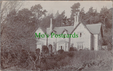 Dorset Postcard? - Detached House, Posted From Sturminster Newton SW10461