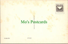 Load image into Gallery viewer, Devon Postcard - View of Dawlish SW10477
