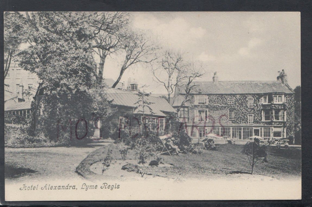 Dorset Postcard - Hotel Alexandra, Lyme Regis - Mo’s Postcards 