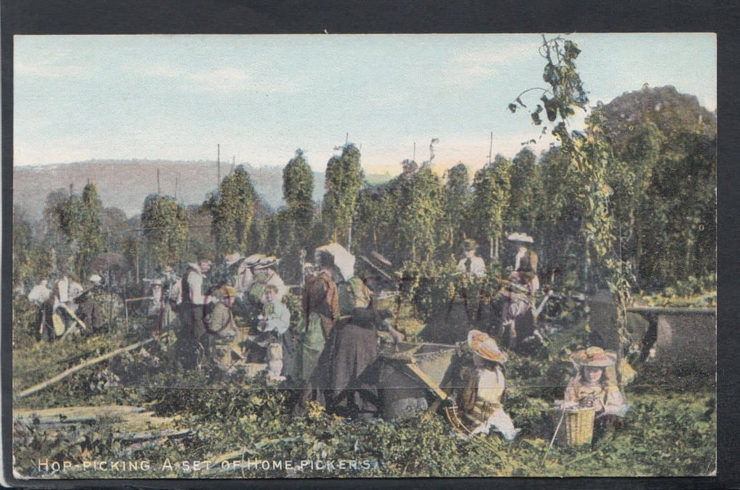 Kent Postcard - Hop Picking - A Set of Home Pickers - Mo’s Postcards 