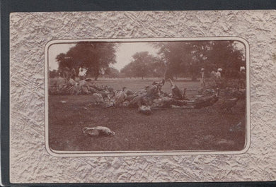 Animals Postcard - Vultures on a Dead Horse, Amballa - Mo’s Postcards 