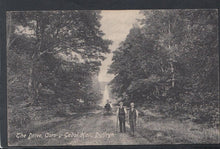 Load image into Gallery viewer, Wales Postcard - The Drive, Cors-Y-Gedol Hall, Dyffryn - Mo’s Postcards 
