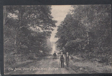 Wales Postcard - The Drive, Cors-Y-Gedol Hall, Dyffryn - Mo’s Postcards 