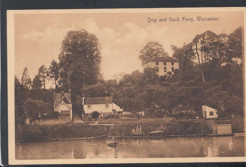 Worcestershire Postcard - Dog and Duck Ferry, Worcester - Mo’s Postcards 