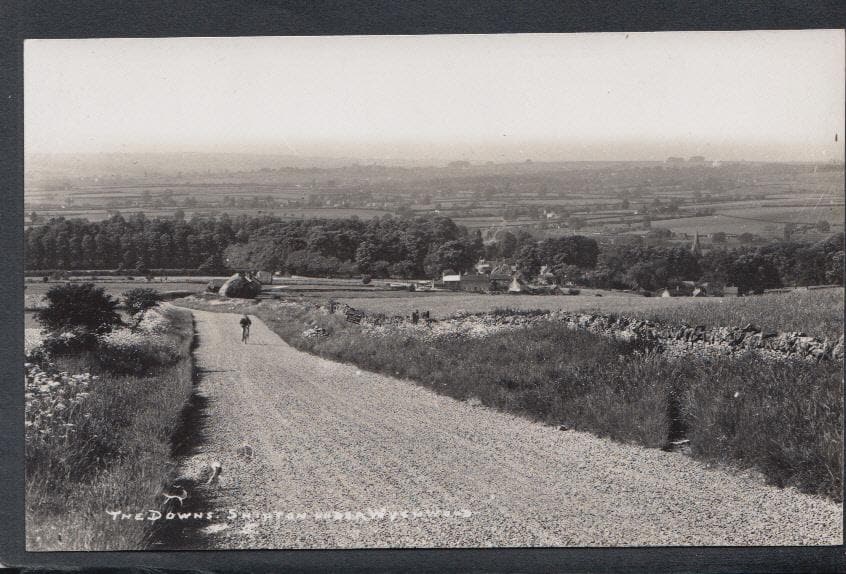 Oxfordshire Postcard - The Downs, Shipton-Under-Wychwood - Mo’s Postcards 