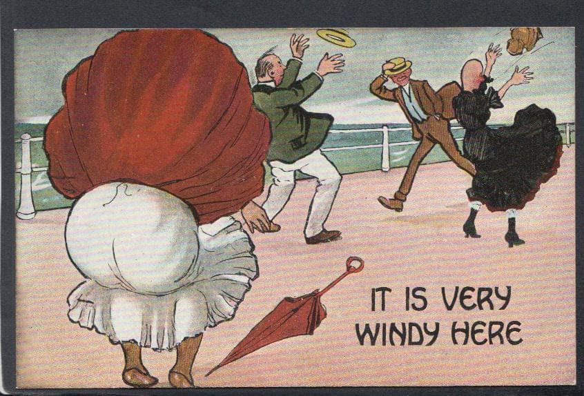 Comic Postcard - Seaside / Weather / Wind / Windy / Clothes - Mo’s Postcards 