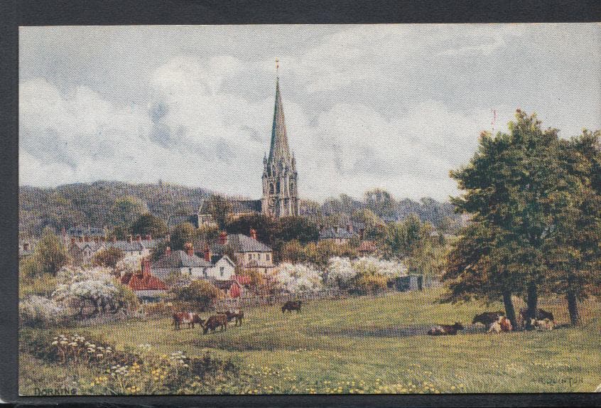 Surrey Postcard - View of Dorking - Artist A.R.Quinton - Mo’s Postcards 