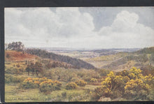 Load image into Gallery viewer, Sussex Postcard - Gill&#39;s Lap, Ashdown Forest - Artist A.R.Quinton - Mo’s Postcards 
