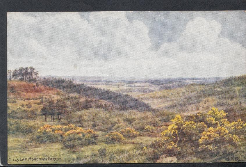 Sussex Postcard - Gill's Lap, Ashdown Forest - Artist A.R.Quinton - Mo’s Postcards 