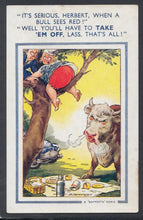 Load image into Gallery viewer, Comic Postcard - Picnic / Couple / Red / Animals / Bull - D.Tempest - Mo’s Postcards 
