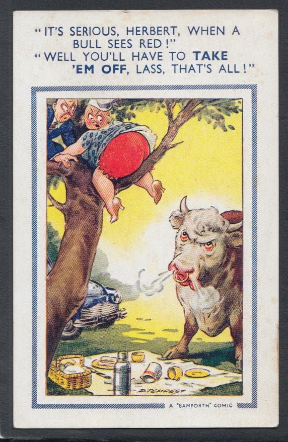 Comic Postcard - Picnic / Couple / Red / Animals / Bull - D.Tempest - Mo’s Postcards 