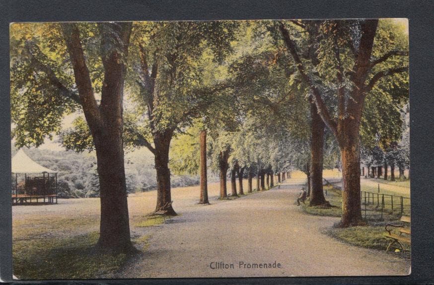Bristol Postcard - Clifton Promenade, 1907 - Mo’s Postcards 