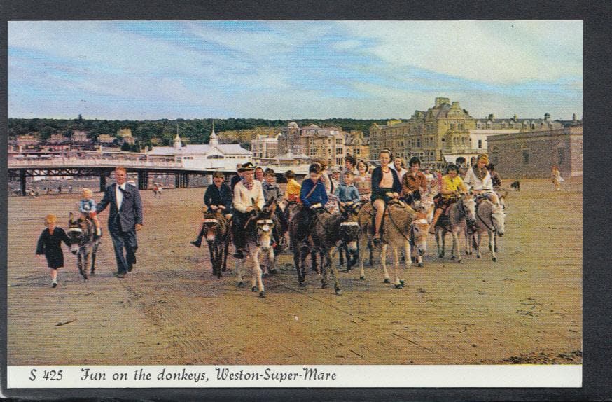 Somerset Postcard - Fun On The Donkeys, Weston-Super-Mare - Mo’s Postcards 