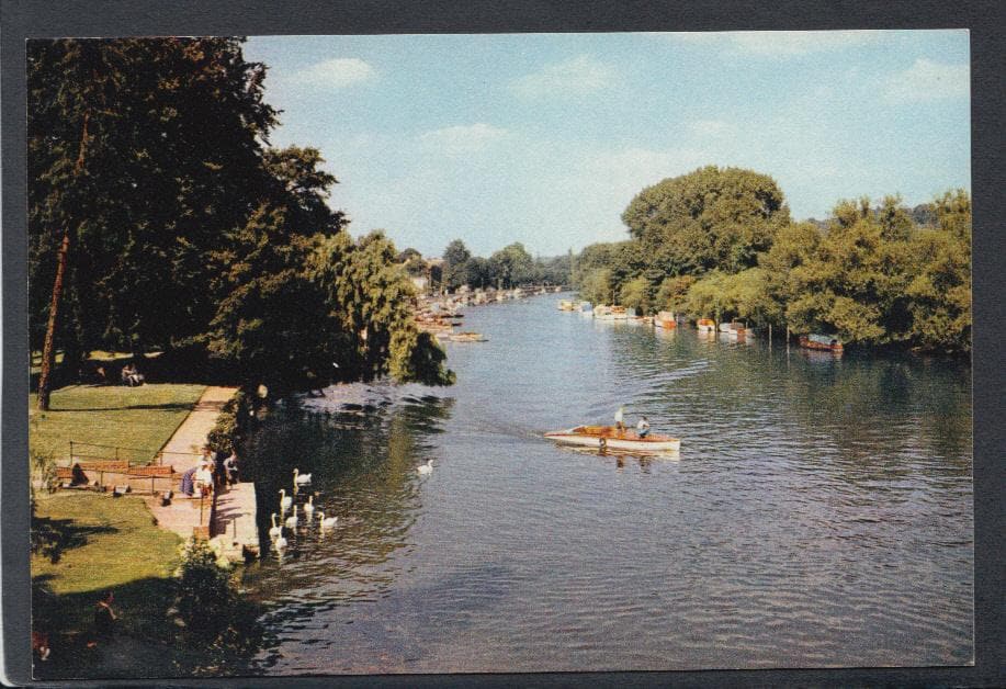 Berkshire Postcard - River Thames, Maidenhead - Mo’s Postcards 