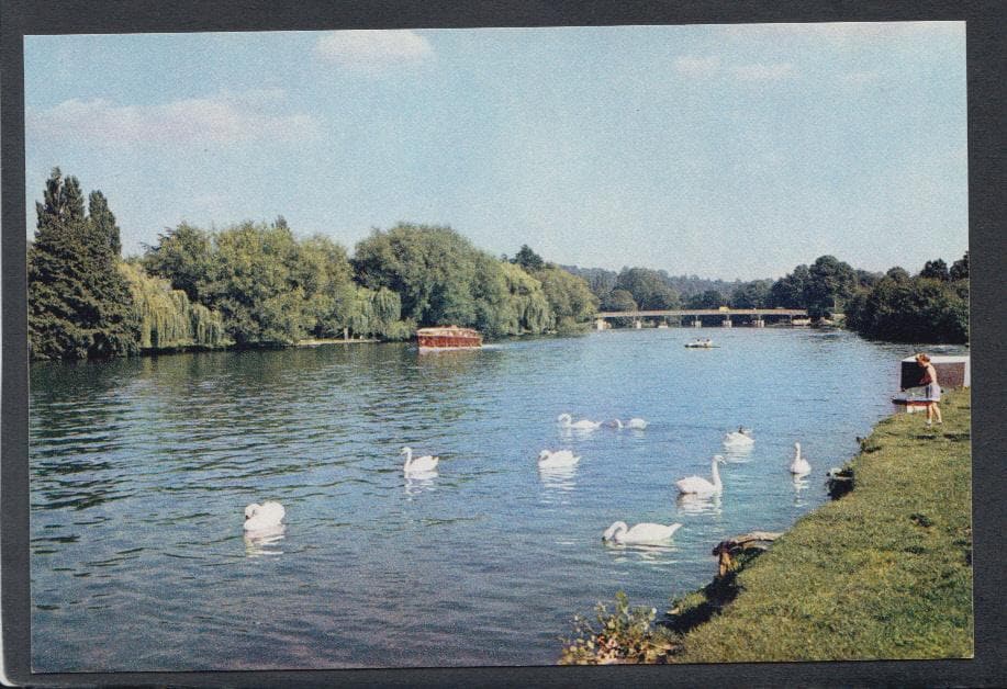 Berkshire Postcard - Cookham Bridge - Mo’s Postcards 