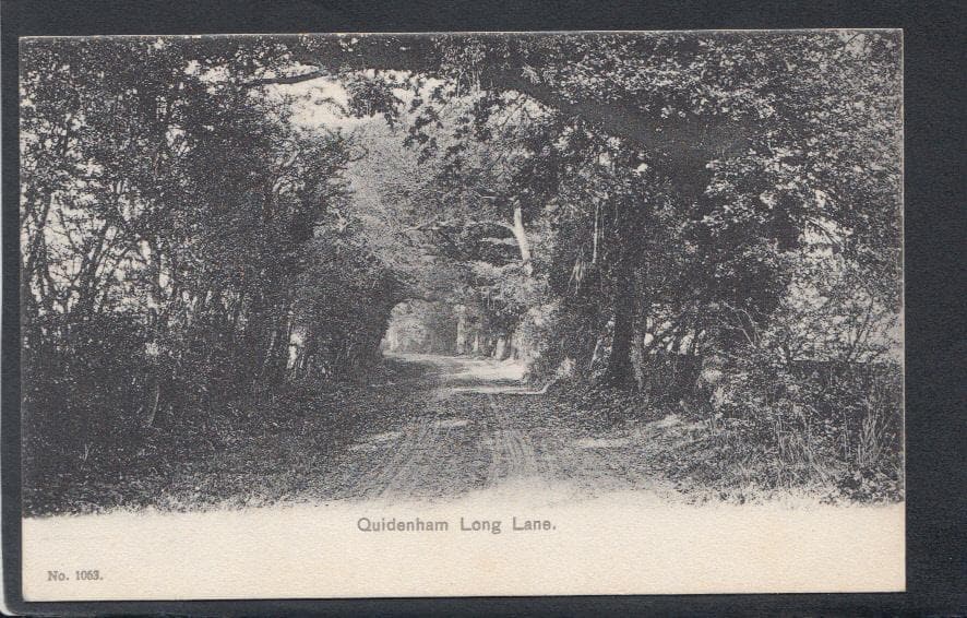 Norfolk Postcard - Quidenham, Long Lane - Mo’s Postcards 