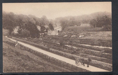 Gloucestershire Postcard - View of Bibury - Mo’s Postcards 