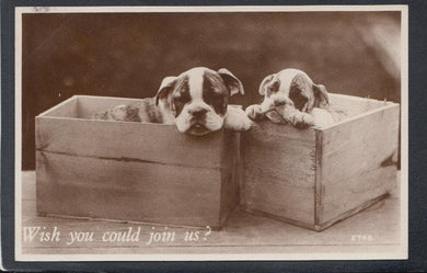 Animals Postcard - Dogs - Two Puppies - Wish You Could Join Us?, 1935 - Mo’s Postcards 