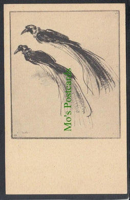 Animals Postcard - Birds - Studies Naar Een Paradijsvogel, Rembrandt-Tentoonstelling, Loure, Paris - Mo’s Postcards 
