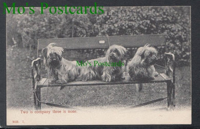 Dogs Postcard - Two is Company Three is None