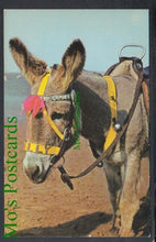 Load image into Gallery viewer, Animals Postcard - Donkey Rides
