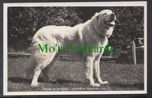 Load image into Gallery viewer, Dogs - Pyrenean Mountain Dog
