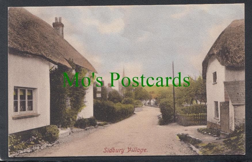 Sidbury Village, Devon