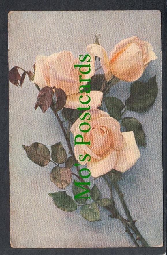 Nature Postcard - Flowers - Roses