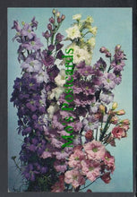 Load image into Gallery viewer, Nature Postcard - Flowers - Larkspur
