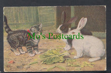 Load image into Gallery viewer, Animals - A Cat and Two Rabbits Postcard
