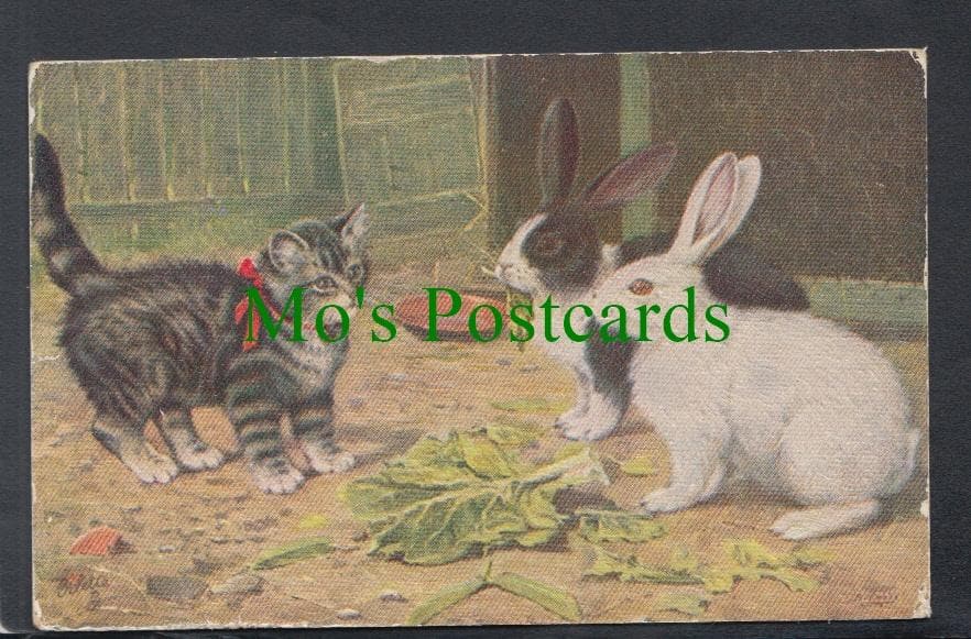 Animals - A Cat and Two Rabbits Postcard