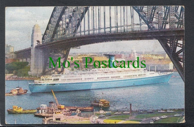 Shipping Postcard - M.S.Angelina Lauro