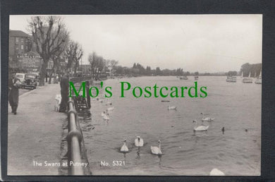 The Swans at Putney, London