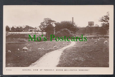 Tonedale Works, Wellington, Somerset