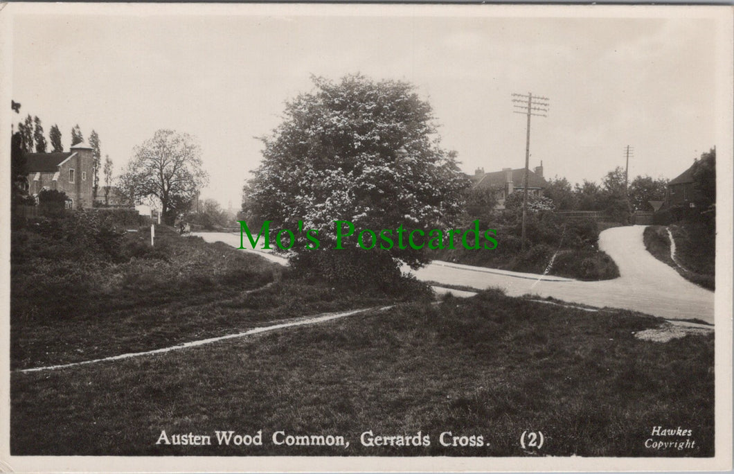 Austen Wood Common, Gerrards Cross