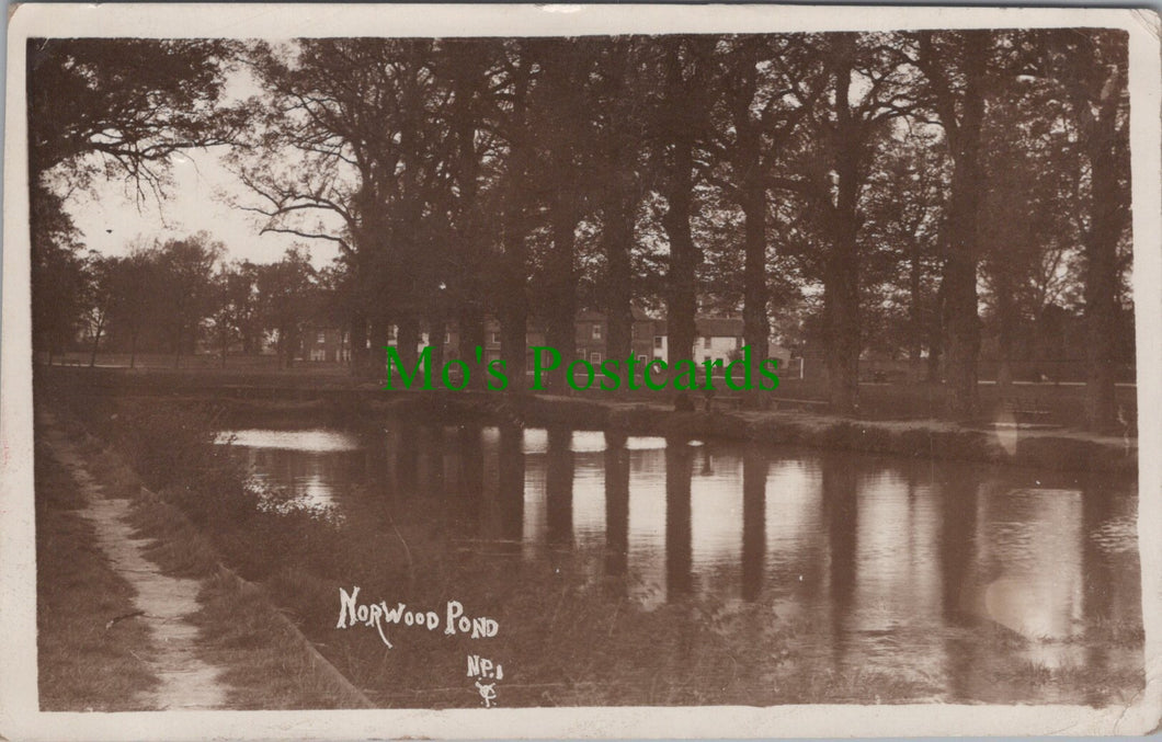 Norwood Pond, London