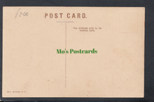 Load image into Gallery viewer, British West Indies Postcard - Rope Tree, Trinidad - Mo’s Postcards 

