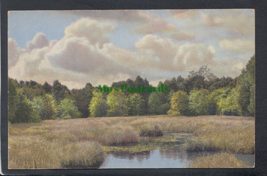 Nature Postcard - Landscapes - Countryside Scene - Mo’s Postcards 