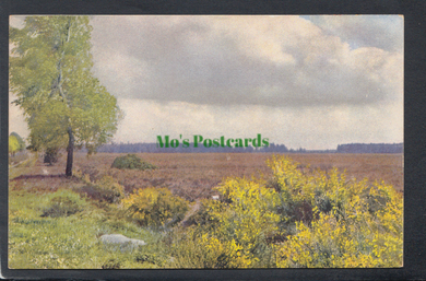 Nature Postcard - Landscapes - Countryside Scene - Mo’s Postcards 