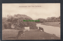 Load image into Gallery viewer, Brockenhurst, Hampshire
