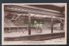 Load image into Gallery viewer, The British Empire Exhibition - Mo’s Postcards 
