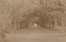 Load image into Gallery viewer, Hampshire Postcard - The Yew Tree Avenue, Near Broughton - Mo’s Postcards 
