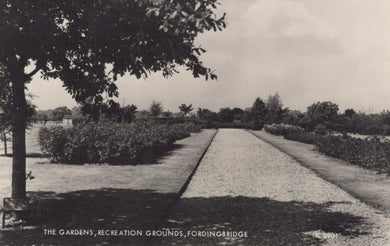 Hampshire Postcard - The Gardens, Recreation Grounds, Fordingbridge - Mo’s Postcards 