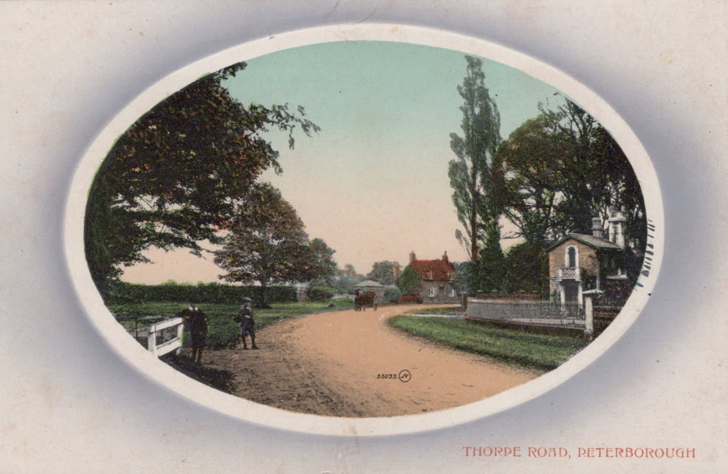 Cambridgeshire Postcard - Thorpe Road, Peterborough - Mo’s Postcards 